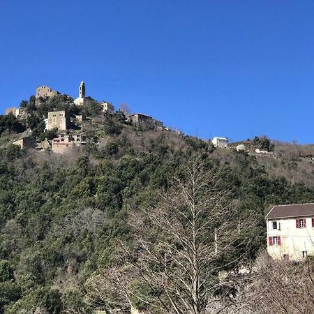 Camping L'Agrottu Au Coeur De La Corse Santa-Lucia-di-Mercurio Zewnętrze zdjęcie