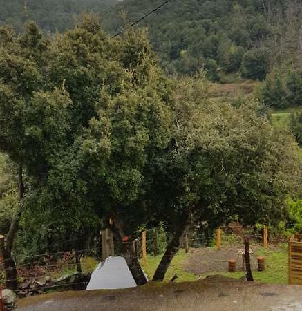 Camping L'Agrottu Au Coeur De La Corse Santa-Lucia-di-Mercurio Zewnętrze zdjęcie
