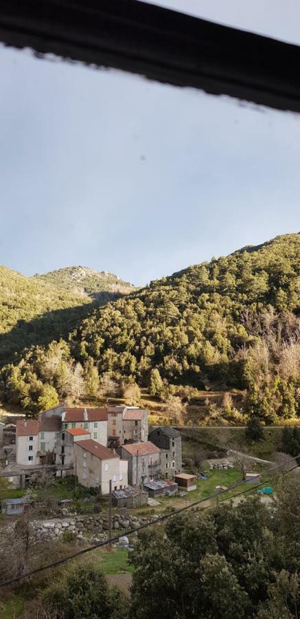 Camping L'Agrottu Au Coeur De La Corse Santa-Lucia-di-Mercurio Zewnętrze zdjęcie