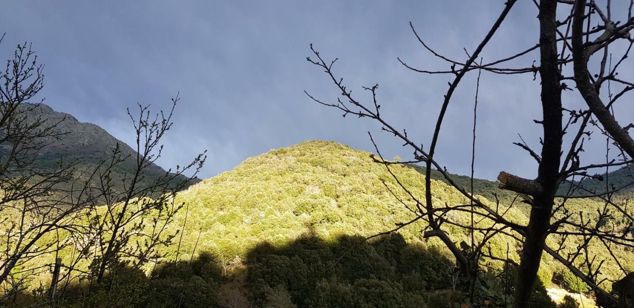 Camping L'Agrottu Au Coeur De La Corse Santa-Lucia-di-Mercurio Zewnętrze zdjęcie