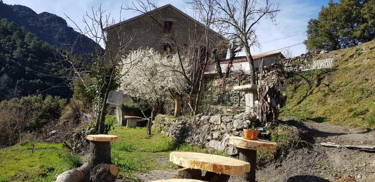 Camping L'Agrottu Au Coeur De La Corse Santa-Lucia-di-Mercurio Zewnętrze zdjęcie