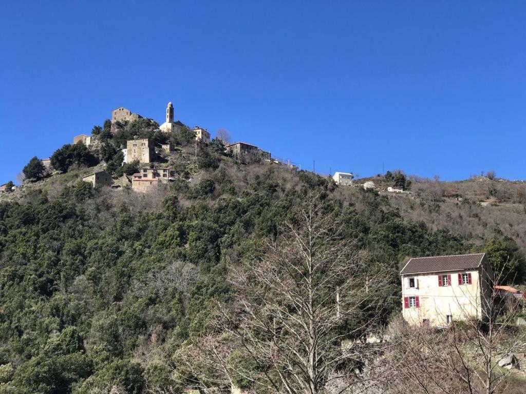 Camping L'Agrottu Au Coeur De La Corse Santa-Lucia-di-Mercurio Zewnętrze zdjęcie