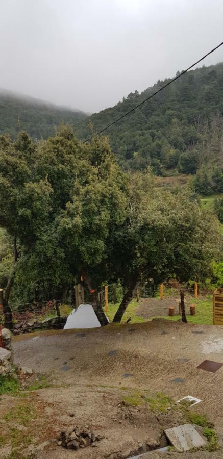 Camping L'Agrottu Au Coeur De La Corse Santa-Lucia-di-Mercurio Zewnętrze zdjęcie