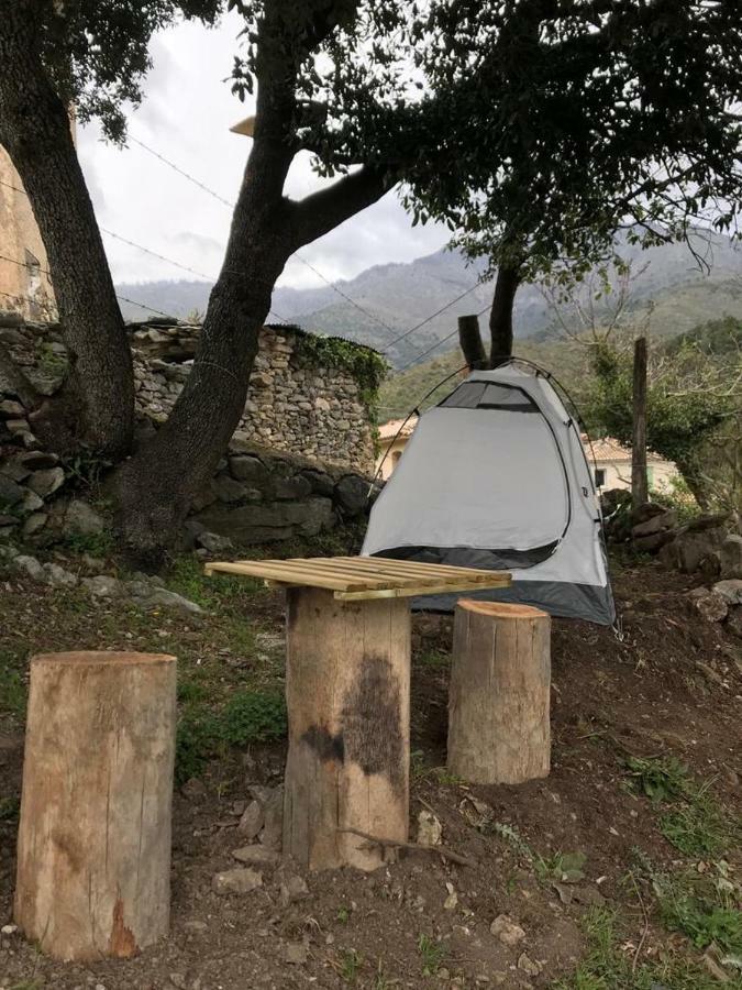 Camping L'Agrottu Au Coeur De La Corse Santa-Lucia-di-Mercurio Zewnętrze zdjęcie