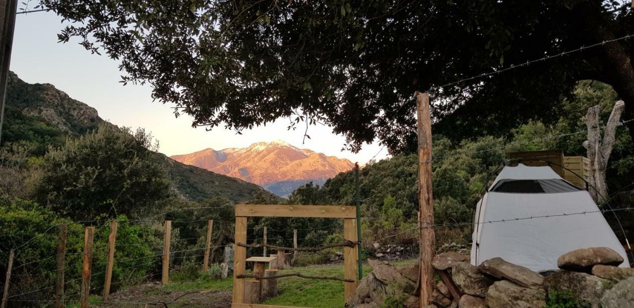 Camping L'Agrottu Au Coeur De La Corse Santa-Lucia-di-Mercurio Zewnętrze zdjęcie