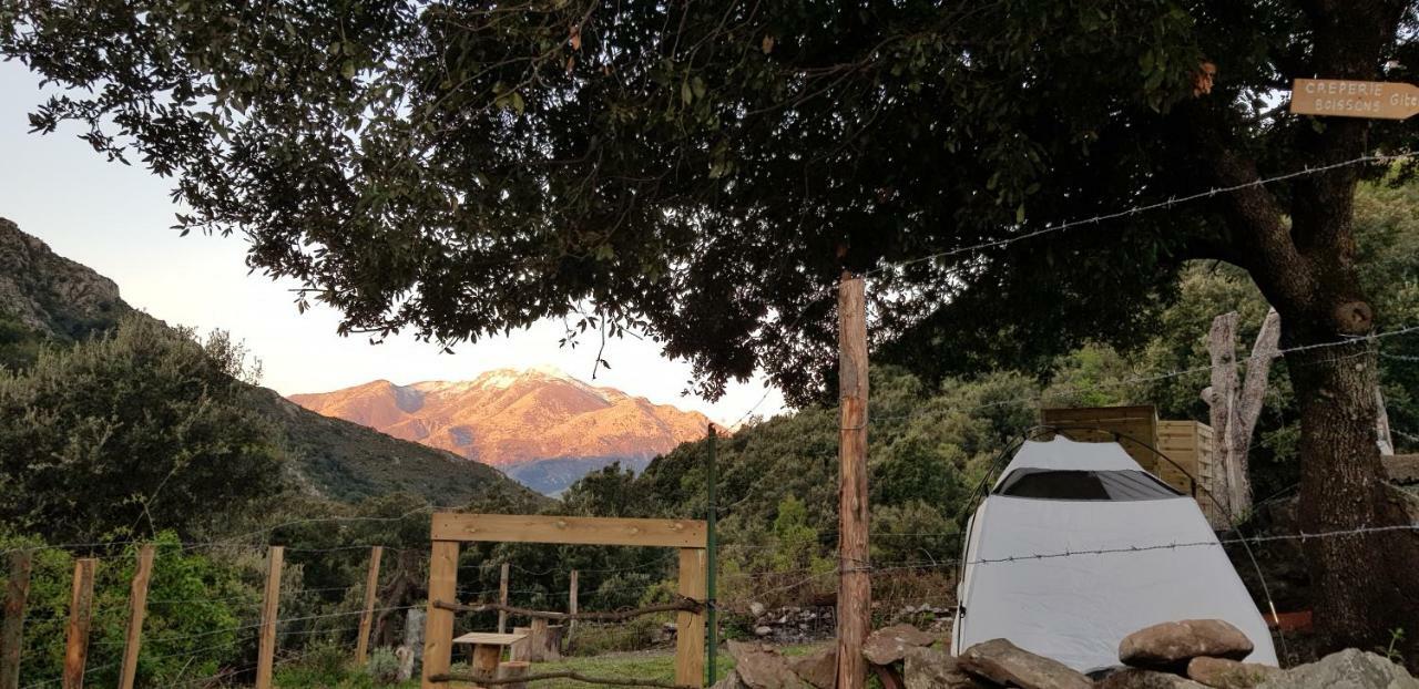 Camping L'Agrottu Au Coeur De La Corse Santa-Lucia-di-Mercurio Zewnętrze zdjęcie