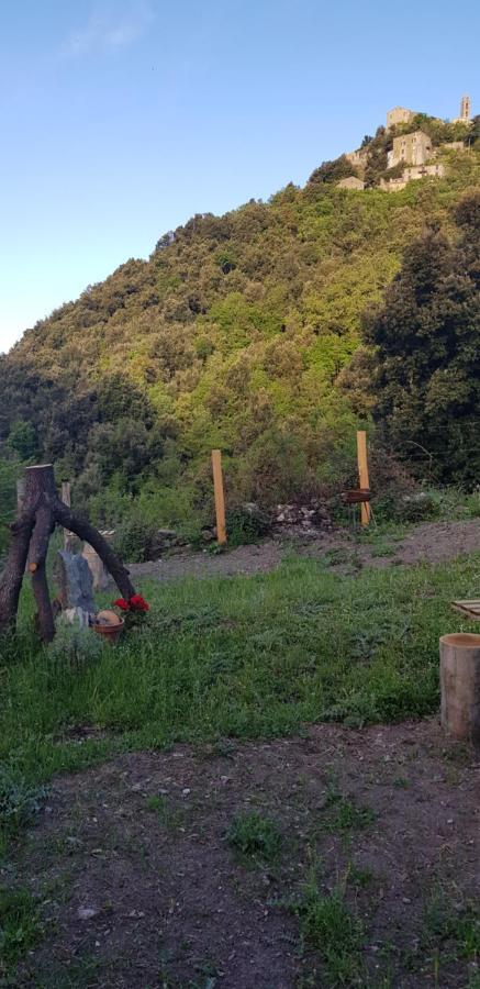 Camping L'Agrottu Au Coeur De La Corse Santa-Lucia-di-Mercurio Zewnętrze zdjęcie